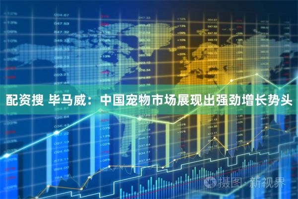 配资搜 毕马威：中国宠物市场展现出强劲增长势头