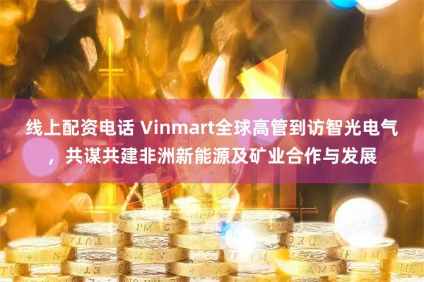 线上配资电话 Vinmart全球高管到访智光电气，共谋共建非洲新能源及矿业合作与发展