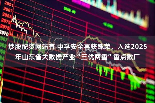 炒股配资网站有 中孚安全再获殊荣,入选2025年山东省大数据产业“三优两重”重点数厂